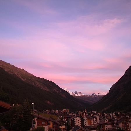 Petit Paradisli Tasch Bagian luar foto